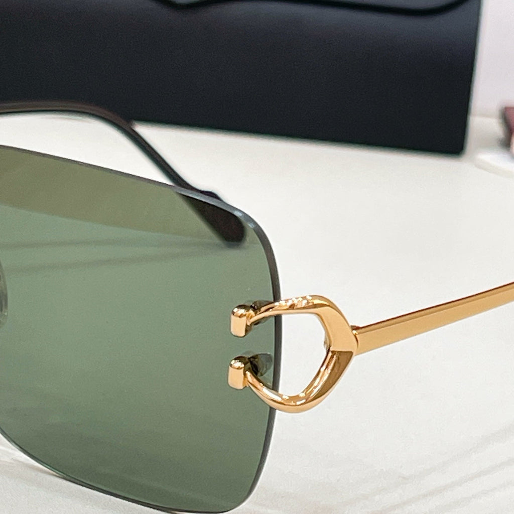 CartieR Sunglasses-CT0330S
