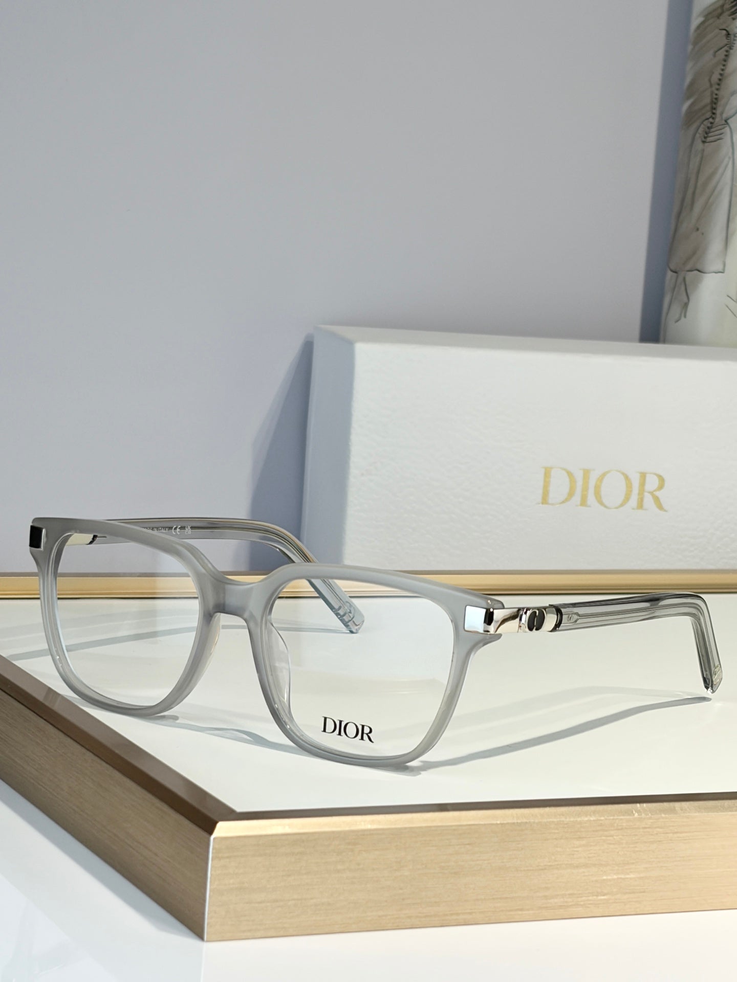 DIOR Sunglasses-CDS2L