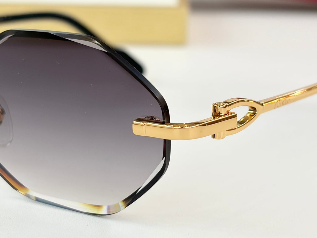 Cartier Sunglasses-CT01831O