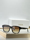 DIOR Sunglasses-CD lcon S4F