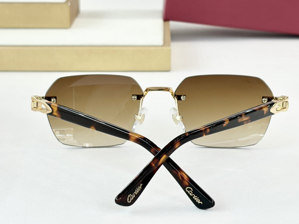 Cartier Sunglasses-CT0623O