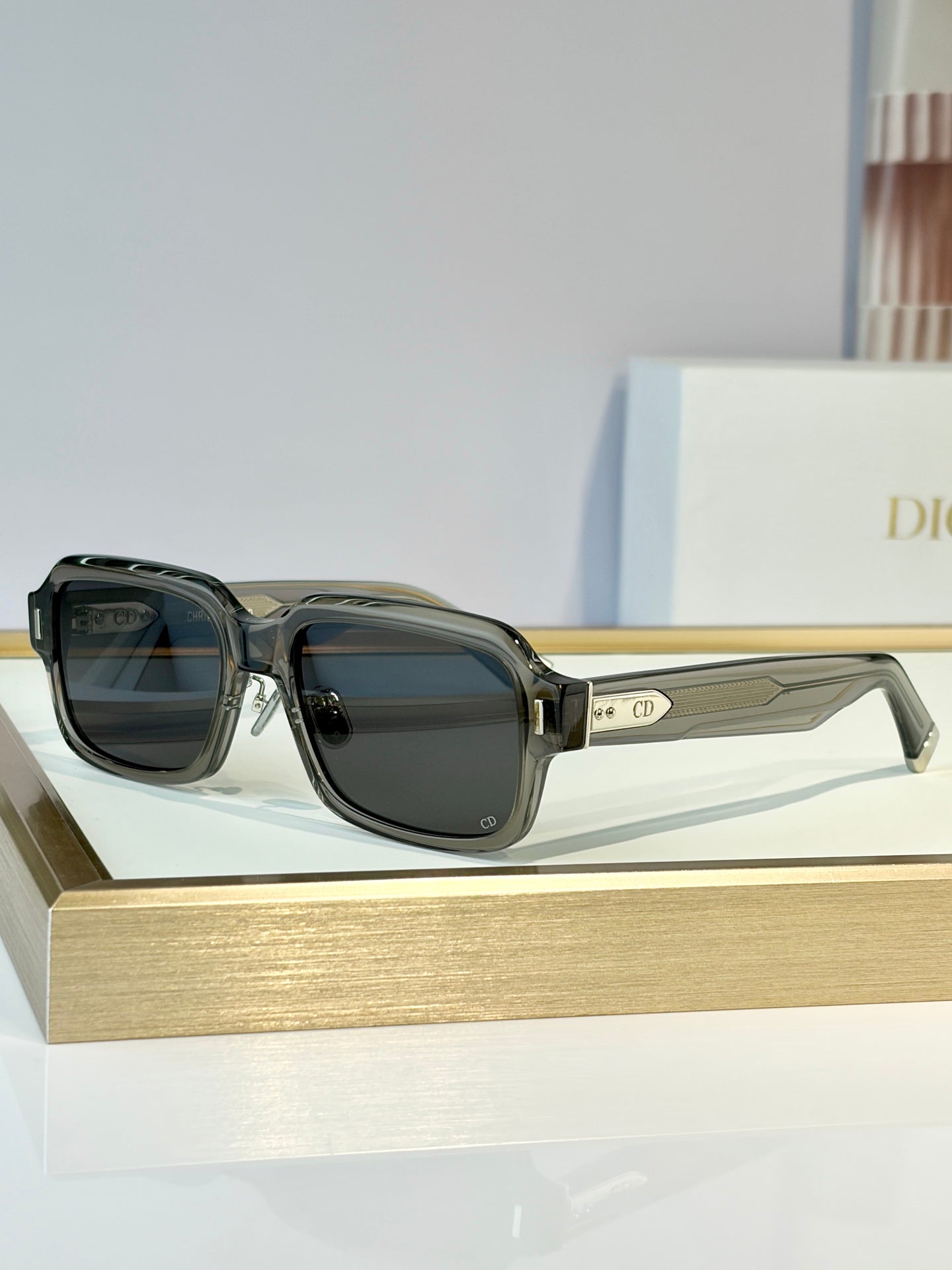 DIOR Sunglasses-Diortailoring S2F
