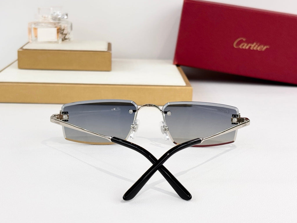 Cartier Sunglasses-CT05950