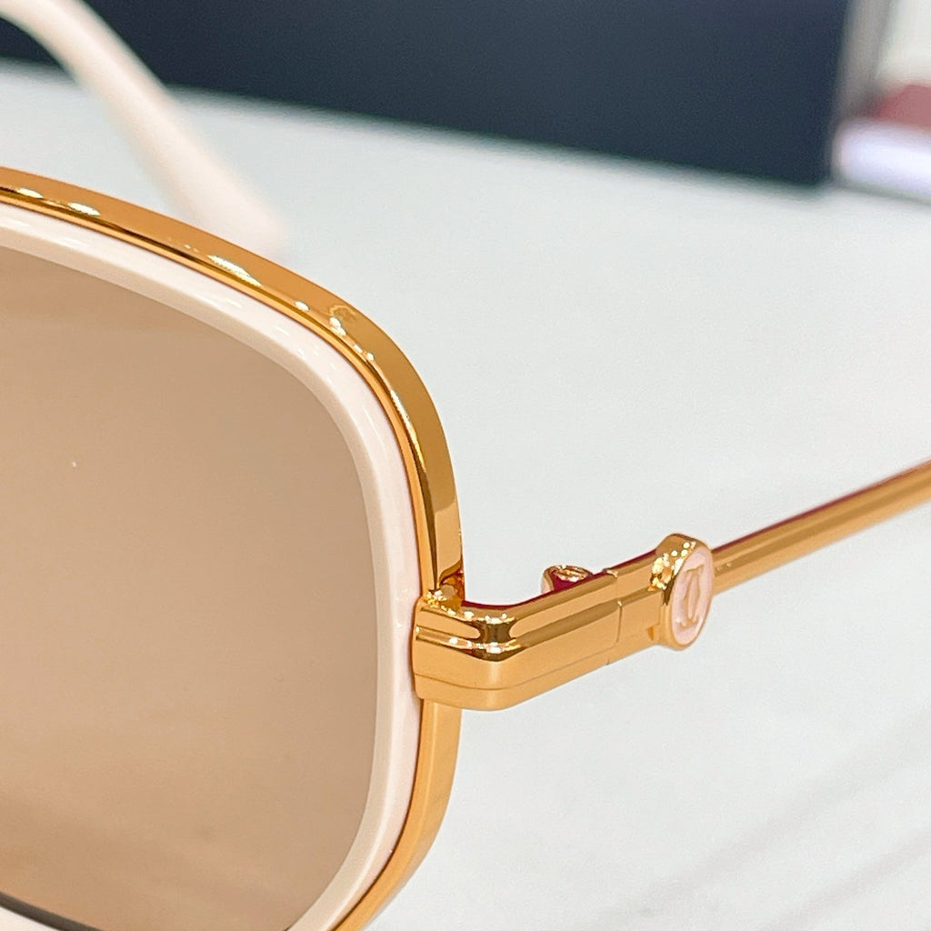 Cartier Sunglasses-CT0806S