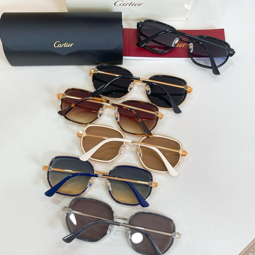 Cartier Sunglasses-CT0806S
