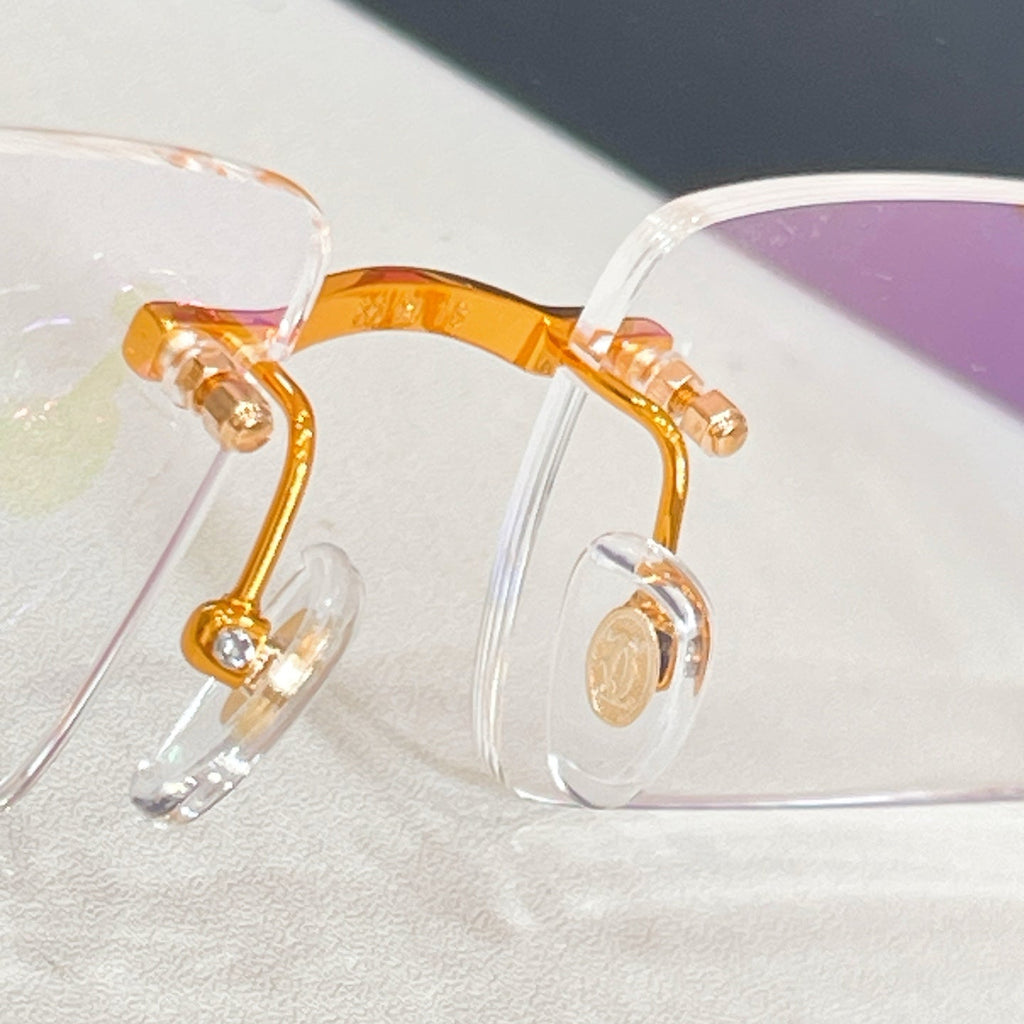 Cartier Sunglasses CT0924S