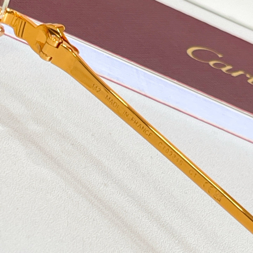 Cartier Sunglasses CT0924S