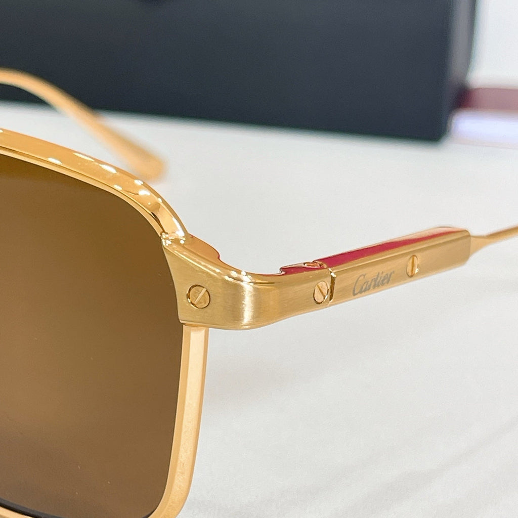 Cartier Sunglasses CT0610S