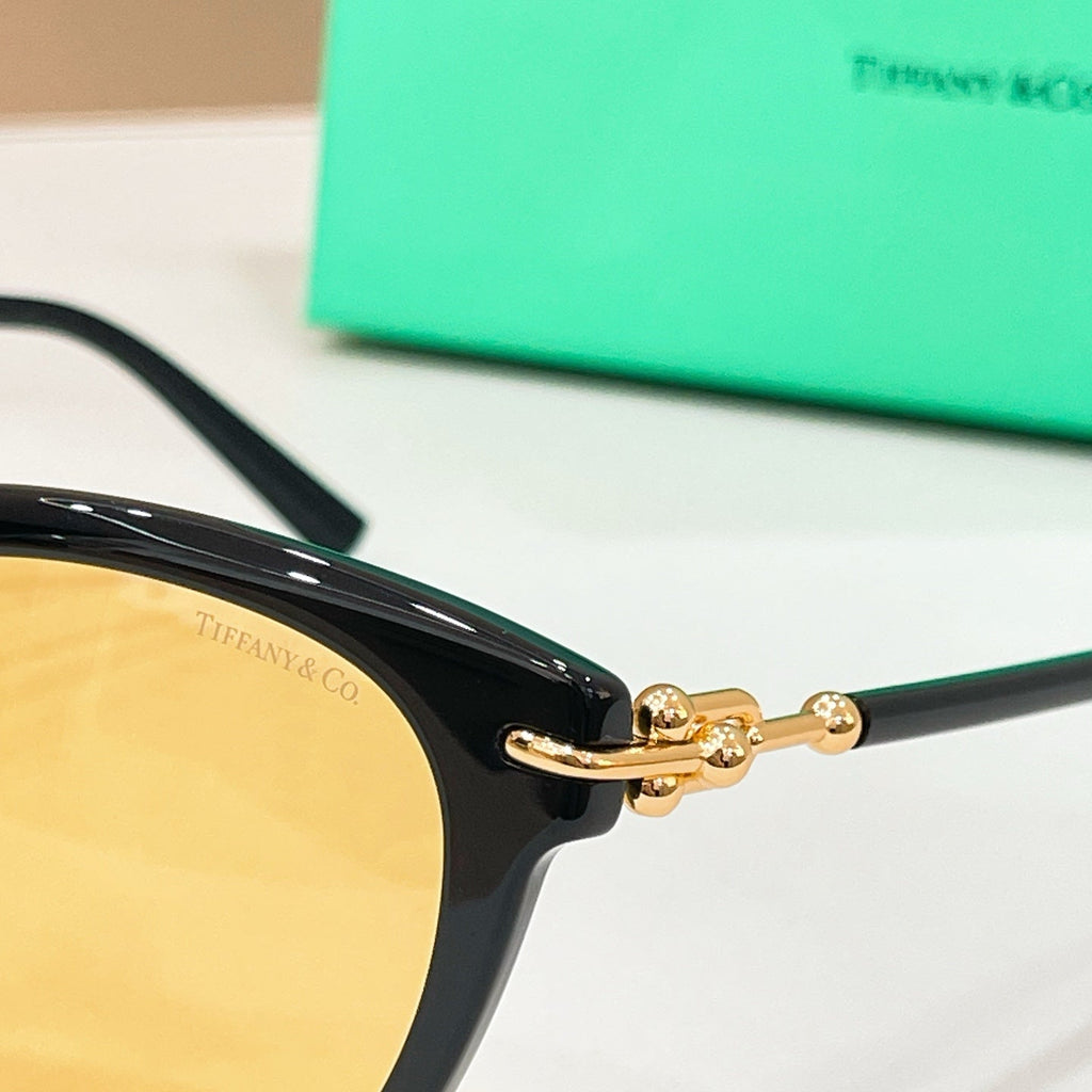 TIFFANY & CO. Sunglasses TF4261